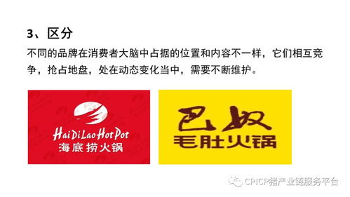 肖一刀 從零起步，匠心打造豬肉品牌的突圍之路